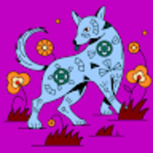 Meet your Posher, Angelica